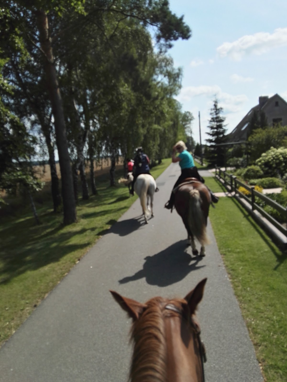 LÜRI - Ribnitzer Türen und Fenster
